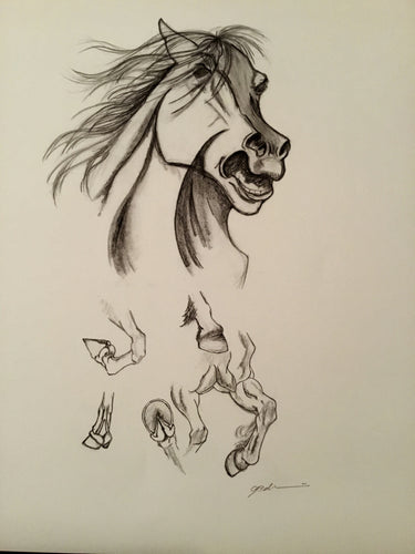 Renaissance Horse